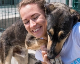 No próximo sábado tem mais uma feira de adoção de cães | Jornal A Voz da Serra