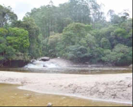 Projetos ambientais: Friburgo poderá receber mais de R$ 3 milhões em investimentos | Jornal A Voz da Serra