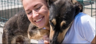 No próximo sábado tem mais uma feira de adoção de cães | A Voz da Serra