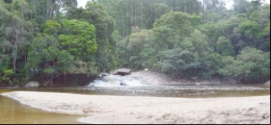 Projetos ambientais: Friburgo poderá receber mais de R$ 3 milhões em investimentos | A Voz da Serra